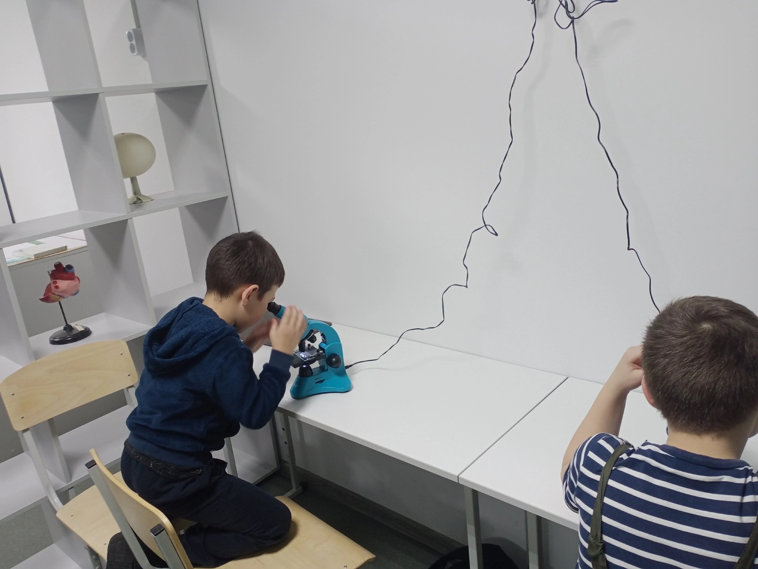 ВУД &quot;Увлекательная биология&quot;.